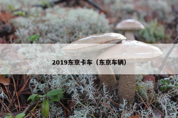 2019东京卡车（东京车辆）