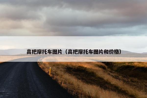 高把摩托车图片（高把摩托车图片和价格）