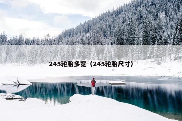 245轮胎多宽（245轮胎尺寸）