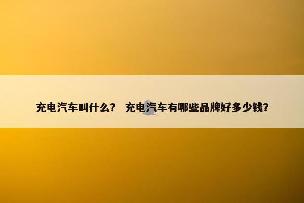 充电汽车叫什么？ 充电汽车有哪些品牌好多少钱？