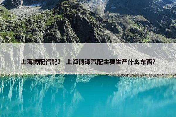 上海博配汽配？ 上海博泽汽配主要生产什么东西？