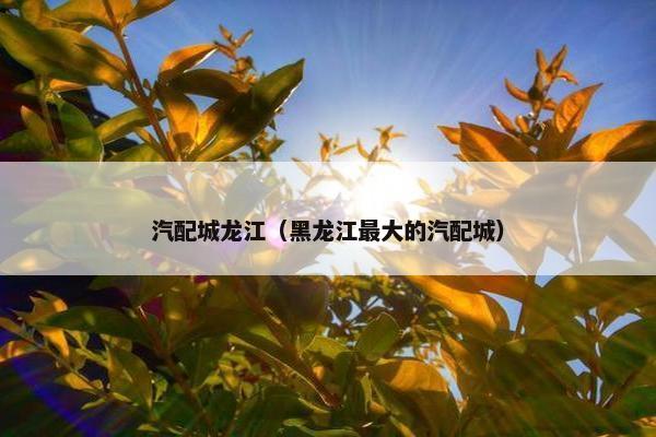 汽配城龙江（黑龙江最大的汽配城）