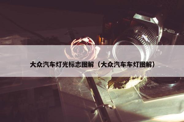 大众汽车灯光标志图解（大众汽车车灯图解）