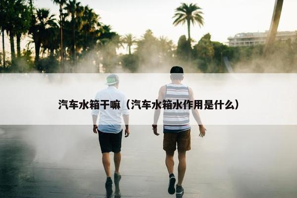 汽车水箱干嘛（汽车水箱水作用是什么）