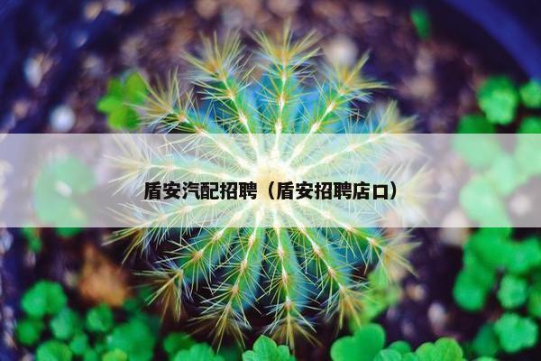 盾安汽配招聘（盾安招聘店口）