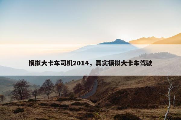 模拟大卡车司机2014，真实模拟大卡车驾驶