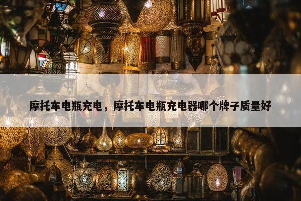 摩托车电瓶充电，摩托车电瓶充电器哪个牌子质量好