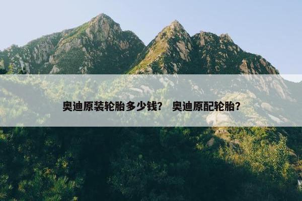 奥迪原装轮胎多少钱？ 奥迪原配轮胎？