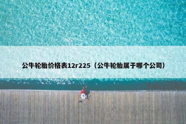 公牛轮胎价格表12r225（公牛轮胎属于哪个公司）