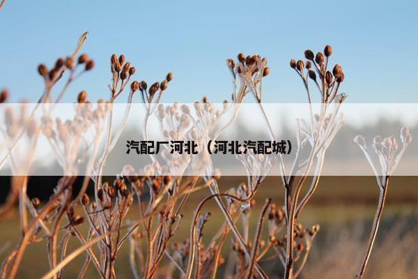 汽配厂河北（河北汽配城）