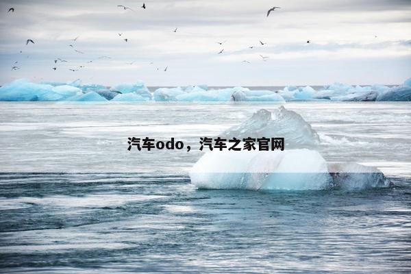 汽车odo，汽车之家官网