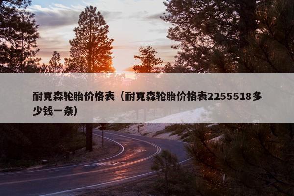 耐克森轮胎价格表（耐克森轮胎价格表2255518多少钱一条）