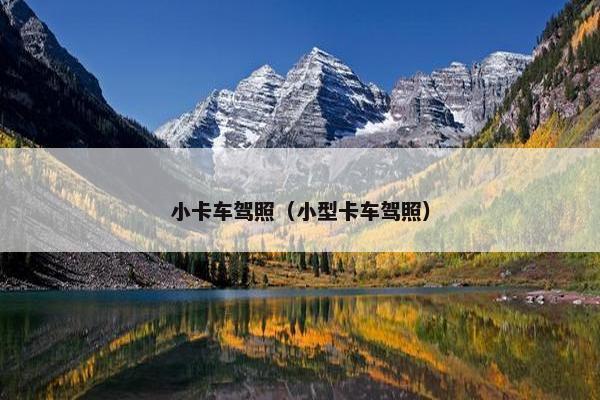 小卡车驾照（小型卡车驾照）