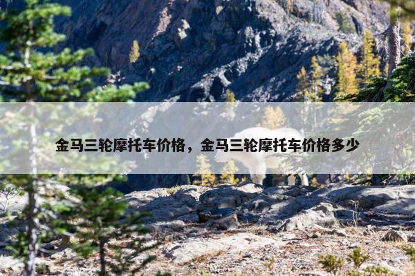 金马三轮摩托车价格，金马三轮摩托车价格多少