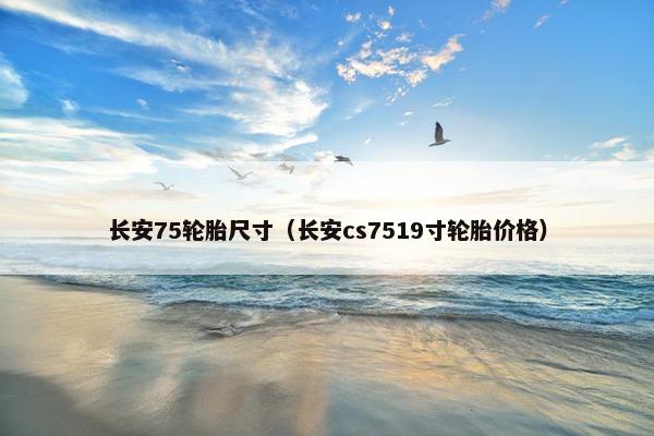 长安75轮胎尺寸（长安cs7519寸轮胎价格）