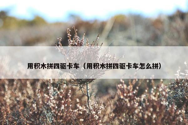 用积木拼四驱卡车（用积木拼四驱卡车怎么拼）