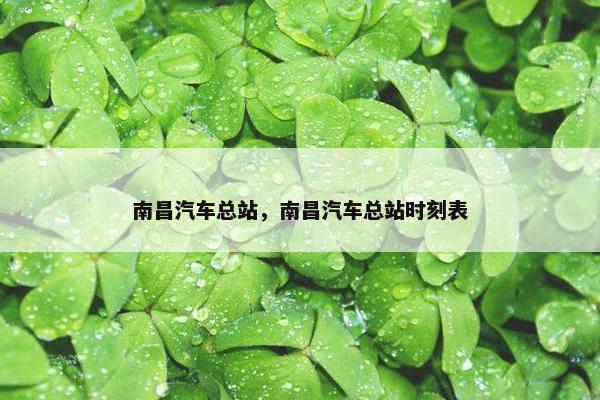 南昌汽车总站，南昌汽车总站时刻表