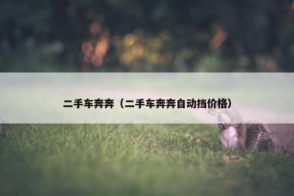 二手车奔奔（二手车奔奔自动挡价格）