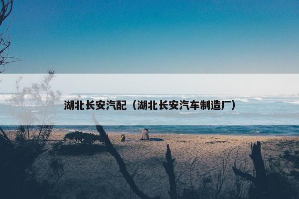 湖北长安汽配（湖北长安汽车制造厂）