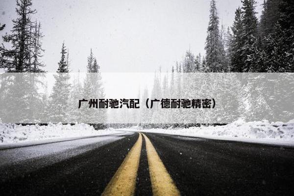 广州耐驰汽配（广德耐驰精密）