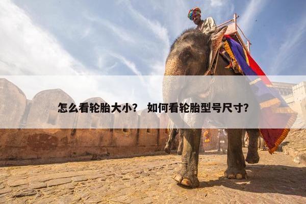 怎么看轮胎大小？ 如何看轮胎型号尺寸？