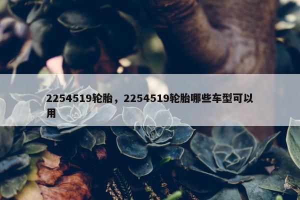 2254519轮胎，2254519轮胎哪些车型可以用