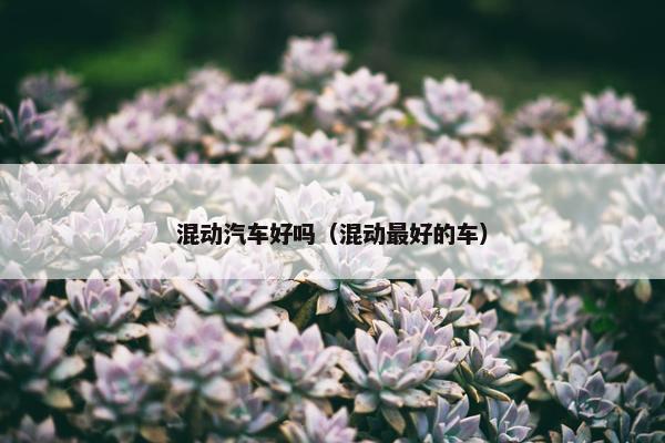 混动汽车好吗（混动最好的车）