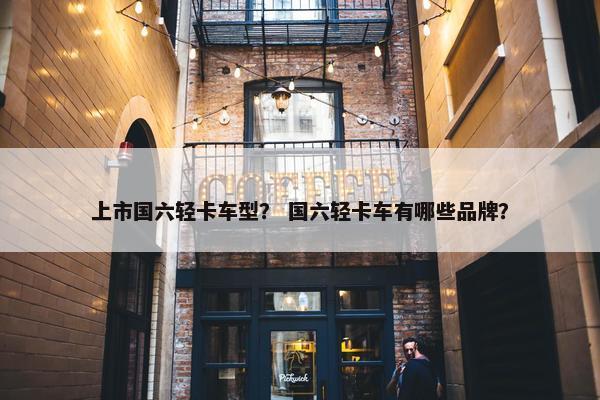 上市国六轻卡车型？ 国六轻卡车有哪些品牌？