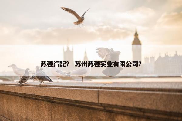 苏强汽配？ 苏州苏强实业有限公司？