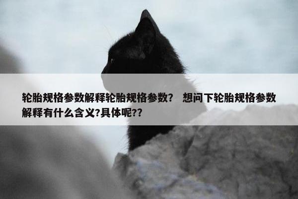 轮胎规格参数解释轮胎规格参数？ 想问下轮胎规格参数解释有什么含义?具体呢?？