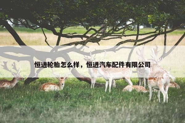 恒进轮胎怎么样，恒进汽车配件有限公司