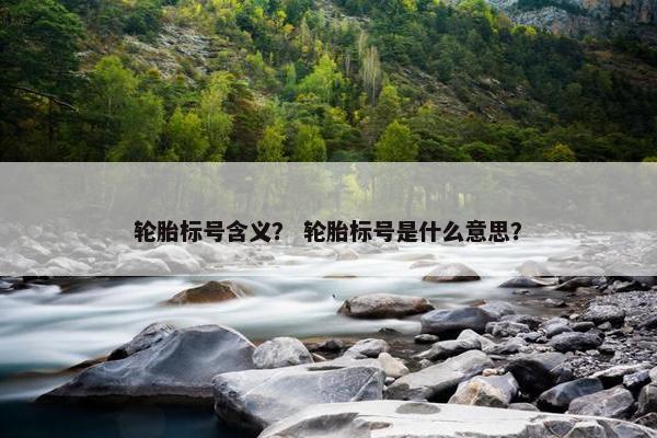 轮胎标号含义？ 轮胎标号是什么意思？