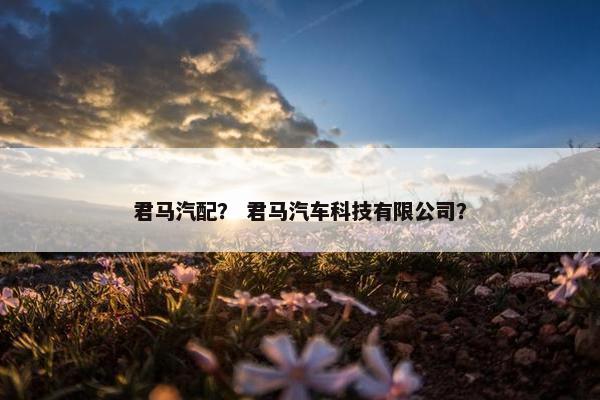 君马汽配？ 君马汽车科技有限公司？