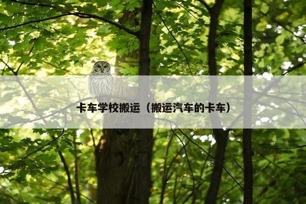 卡车学校搬运（搬运汽车的卡车）