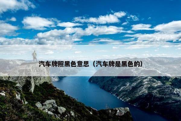 汽车牌照黑色意思（汽车牌是黑色的）
