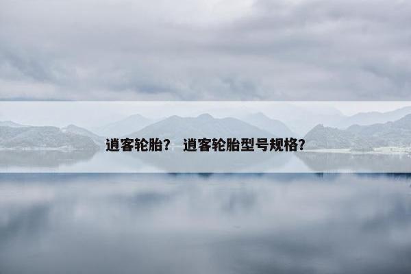 逍客轮胎？ 逍客轮胎型号规格？