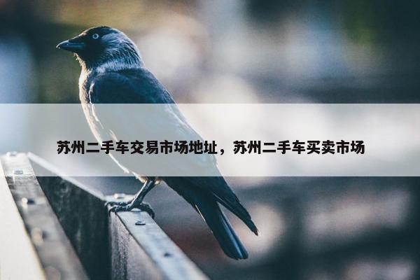苏州二手车交易市场地址，苏州二手车买卖市场