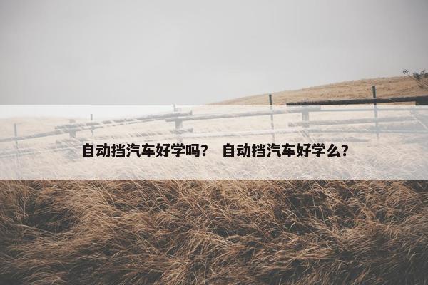 自动挡汽车好学吗？ 自动挡汽车好学么？