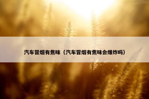 汽车冒烟有焦味（汽车冒烟有焦味会爆炸吗）