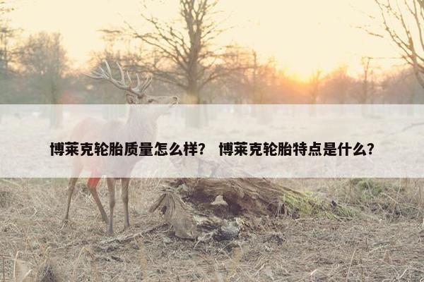 博莱克轮胎质量怎么样？ 博莱克轮胎特点是什么？