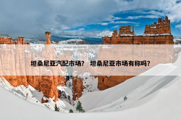 坦桑尼亚汽配市场？ 坦桑尼亚市场有称吗？