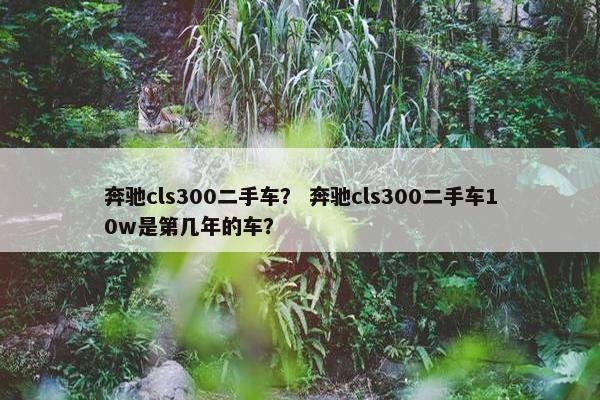 奔驰cls300二手车？ 奔驰cls300二手车10w是第几年的车？