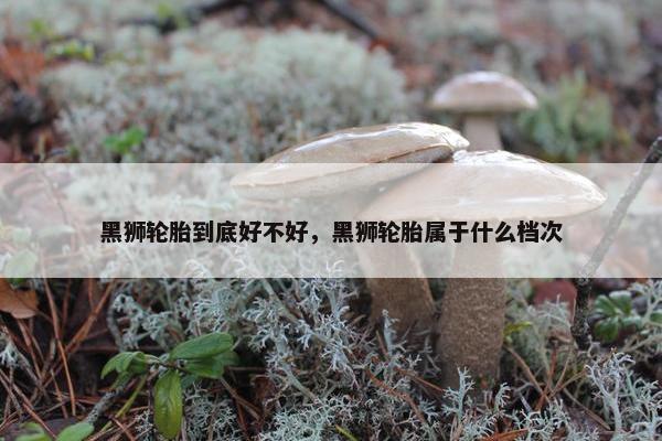 黑狮轮胎到底好不好，黑狮轮胎属于什么档次