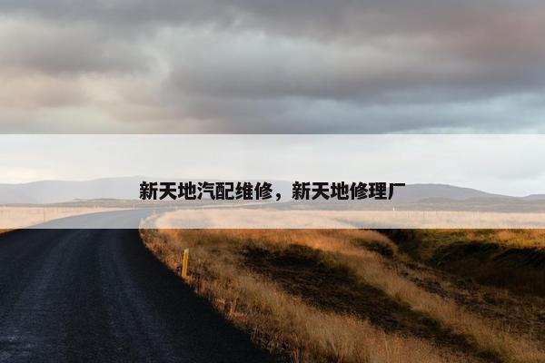 新天地汽配维修，新天地修理厂