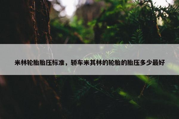 米林轮胎胎压标准，轿车米其林的轮胎的胎压多少最好