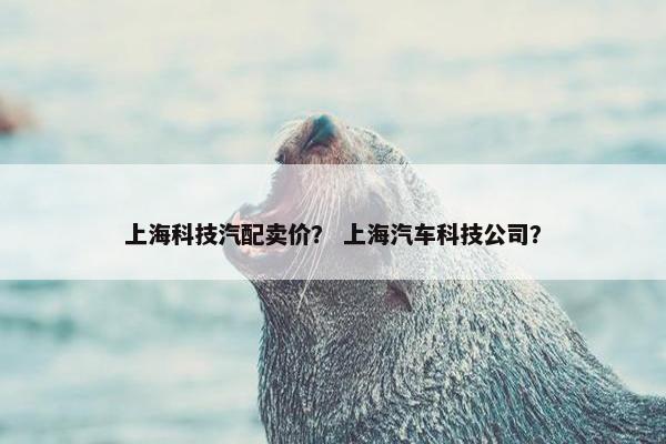上海科技汽配卖价？ 上海汽车科技公司？