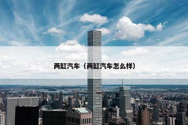 两缸汽车（两缸汽车怎么样）