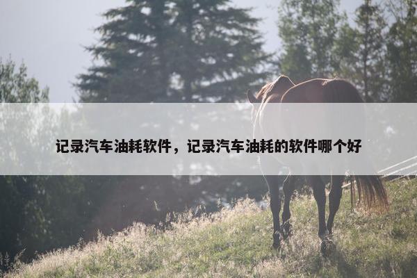 记录汽车油耗软件，记录汽车油耗的软件哪个好