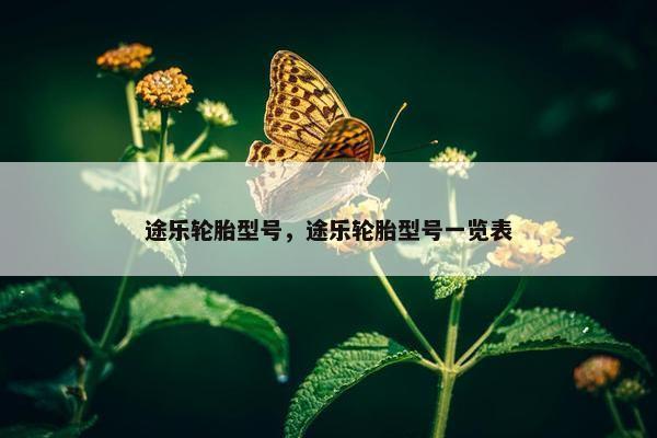 途乐轮胎型号，途乐轮胎型号一览表