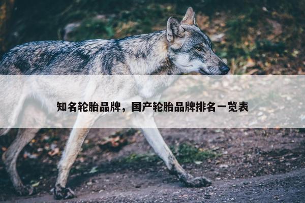 知名轮胎品牌，国产轮胎品牌排名一览表
